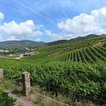Al Vigneto Appartement Sestri Levante Buitenkant foto
