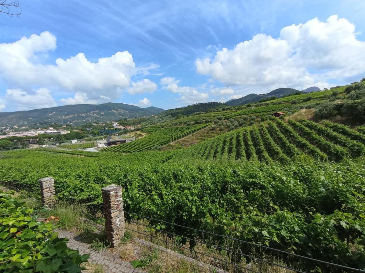 Al Vigneto Appartement Sestri Levante Buitenkant foto