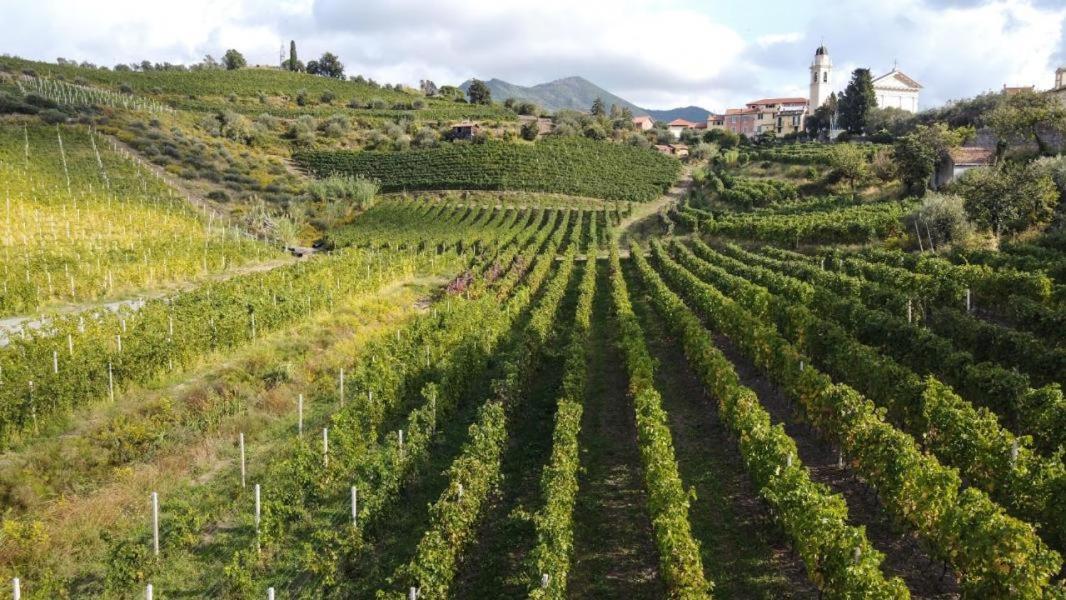 Al Vigneto Appartement Sestri Levante Buitenkant foto